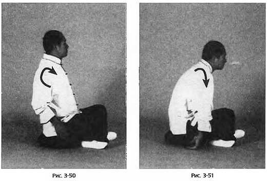 Иллюстрация к книге — Цигун для здоровья и боевых искусств. Полный практический курс [_51.jpg]