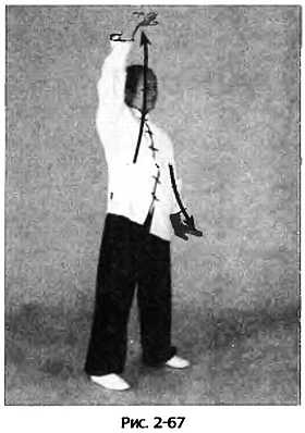 Иллюстрация к книге — Цигун для здоровья и боевых искусств. Полный практический курс [_67.jpg]