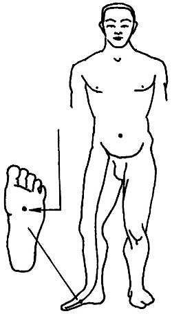 Иллюстрация к книге — Цигун для здоровья и боевых искусств. Полный практический курс [_75.jpg]