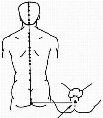 Иллюстрация к книге — Цигун для здоровья и боевых искусств. Полный практический курс [_76.jpg]