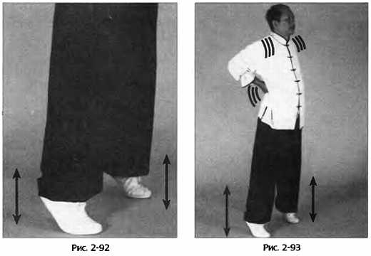 Иллюстрация к книге — Цигун для здоровья и боевых искусств. Полный практический курс [_93.jpg]