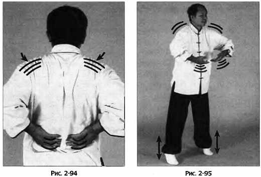 Иллюстрация к книге — Цигун для здоровья и боевых искусств. Полный практический курс [_95.jpg]