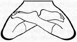 Иллюстрация к книге — Дзэн-медитация. Базовые практики [_01.jpg]