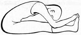 Иллюстрация к книге — Дзэн-медитация. Базовые практики [_08.jpg]