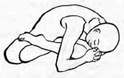 Иллюстрация к книге — Дзэн-медитация. Базовые практики [_11.jpg]