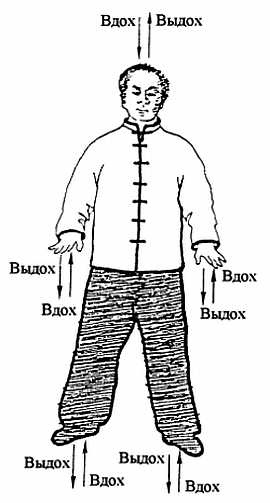 Иллюстрация к книге — Цигун. Изменения мышц и сухожилий промывания костного и головного мозга. Секреты молодости [_08.jpg]