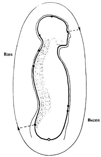 Иллюстрация к книге — Цигун. Изменения мышц и сухожилий промывания костного и головного мозга. Секреты молодости [_37.jpg]