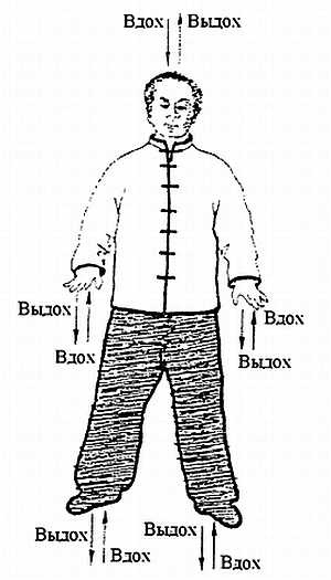 Иллюстрация к книге — Цигун. Изменения мышц и сухожилий промывания костного и головного мозга. Секреты молодости [_39.jpg]