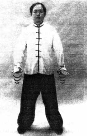 Иллюстрация к книге — Цигун. Изменения мышц и сухожилий промывания костного и головного мозга. Секреты молодости [_41.jpg]