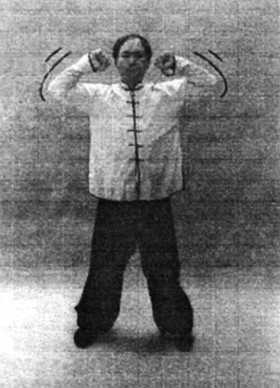 Иллюстрация к книге — Цигун. Изменения мышц и сухожилий промывания костного и головного мозга. Секреты молодости [_49.jpg]