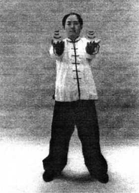 Иллюстрация к книге — Цигун. Изменения мышц и сухожилий промывания костного и головного мозга. Секреты молодости [_52.jpg]