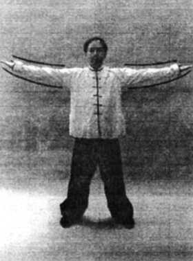 Иллюстрация к книге — Цигун. Изменения мышц и сухожилий промывания костного и головного мозга. Секреты молодости [_55.jpg]