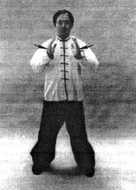 Иллюстрация к книге — Цигун. Изменения мышц и сухожилий промывания костного и головного мозга. Секреты молодости [_70.jpg]