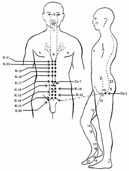 Иллюстрация к книге — Цигун. Изменения мышц и сухожилий промывания костного и головного мозга. Секреты молодости [_73.jpg]