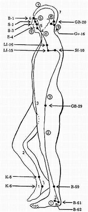 Иллюстрация к книге — Цигун. Изменения мышц и сухожилий промывания костного и головного мозга. Секреты молодости [_75.jpg]