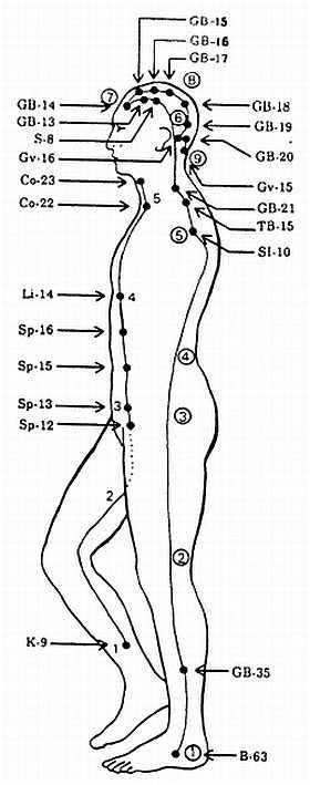 Иллюстрация к книге — Цигун. Изменения мышц и сухожилий промывания костного и головного мозга. Секреты молодости [_76.jpg]