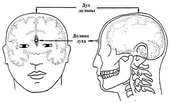 Иллюстрация к книге — Цигун. Изменения мышц и сухожилий промывания костного и головного мозга. Секреты молодости [_82.jpg]