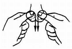 Иллюстрация к книге — Цигун. Изменения мышц и сухожилий промывания костного и головного мозга. Секреты молодости [_84.jpg]