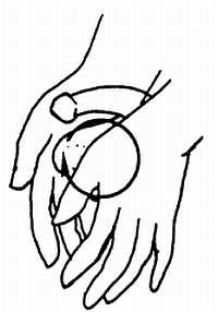 Иллюстрация к книге — Цигун. Изменения мышц и сухожилий промывания костного и головного мозга. Секреты молодости [_86.jpg]