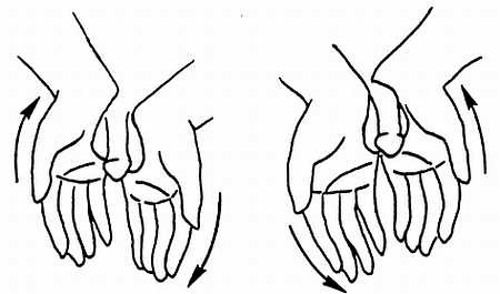 Иллюстрация к книге — Цигун. Изменения мышц и сухожилий промывания костного и головного мозга. Секреты молодости [_89.jpg]