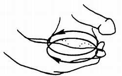 Иллюстрация к книге — Цигун. Изменения мышц и сухожилий промывания костного и головного мозга. Секреты молодости [_91.jpg]