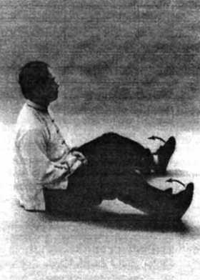 Иллюстрация к книге — Цигун. Изменения мышц и сухожилий промывания костного и головного мозга. Секреты молодости [_93.jpg]