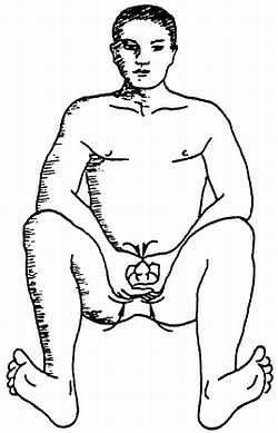 Иллюстрация к книге — Цигун. Изменения мышц и сухожилий промывания костного и головного мозга. Секреты молодости [_96.jpg]