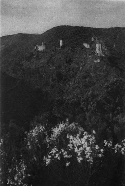 Иллюстрация к книге — Повседневная жизнь во времена трубадуров XII-XIII веков [i_026.jpg]