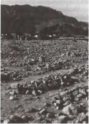 Иллюстрация к книге — Свитки Мертвого моря. Долгий путь к разгадке [i_015.jpg]