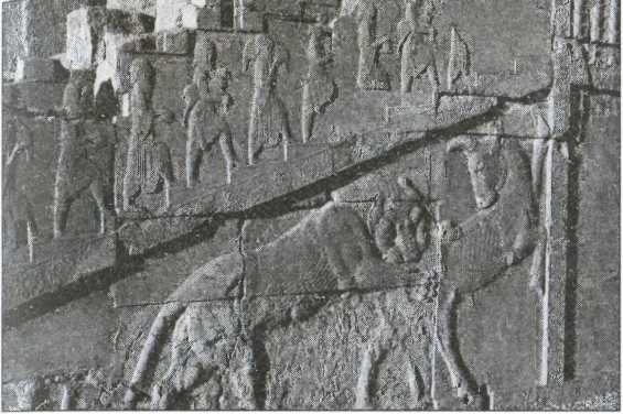 Иллюстрация к книге — Загадки старой Персии [i_016.jpg]