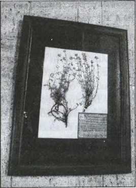 Иллюстрация к книге — Загадки старой Персии [i_044.jpg]