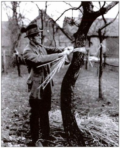 Иллюстрация к книге — Руны. Обряды и наследие предков [i_024.jpg]