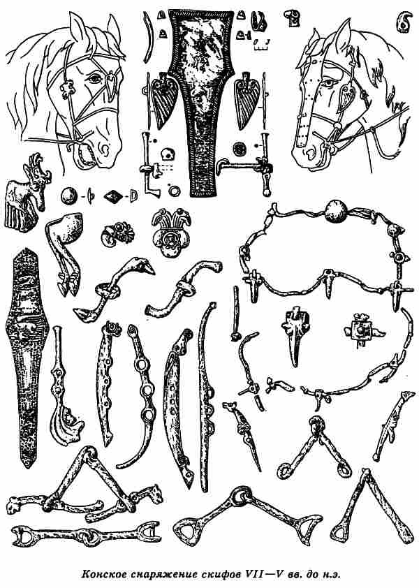 Иллюстрация к книге — Русы Великой Скифии [i_071.jpg]