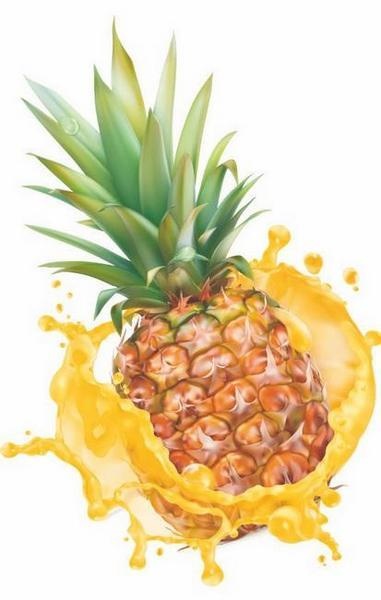 Иллюстрация к книге — Vegan Life. Счастье легким путем. Главный тренд XXI века [i_005.jpg]