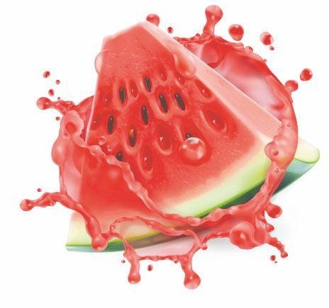 Иллюстрация к книге — Vegan Life. Счастье легким путем. Главный тренд XXI века [i_018.jpg]