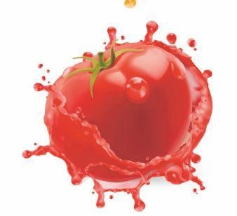 Иллюстрация к книге — Vegan Life. Счастье легким путем. Главный тренд XXI века [i_019.jpg]