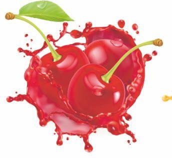 Иллюстрация к книге — Vegan Life. Счастье легким путем. Главный тренд XXI века [i_021.jpg]