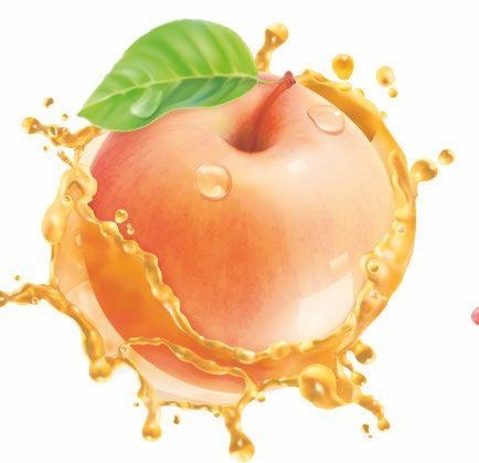 Иллюстрация к книге — Vegan Life. Счастье легким путем. Главный тренд XXI века [i_023.jpg]