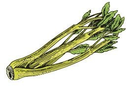 Иллюстрация к книге — Vegan Life. Счастье легким путем. Главный тренд XXI века [i_044.jpg]