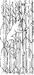 Иллюстрация к книге — Загадки Финикии [any2fbimgloader11.jpg]