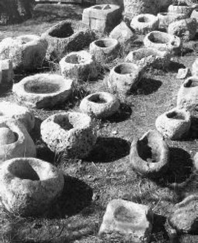 Иллюстрация к книге — Загадки Финикии [any2fbimgloader14.jpg]