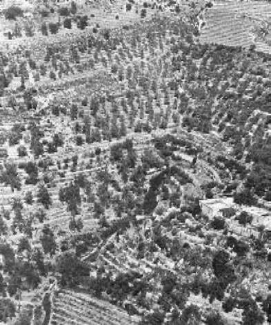 Иллюстрация к книге — Загадки Финикии [any2fbimgloader8.jpg]