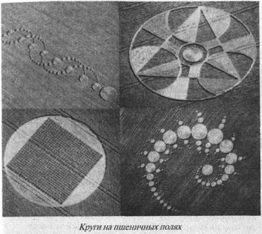 Иллюстрация к книге — Загадки острова Пасхи [i_020.jpg]