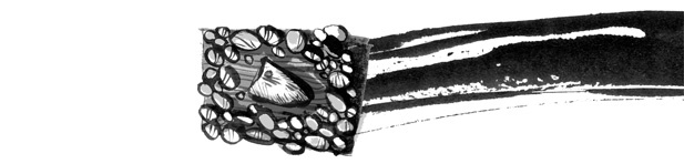 Иллюстрация к книге — Пираты Ледового моря [i_002.jpg]