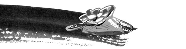 Иллюстрация к книге — Пираты Ледового моря [i_013.jpg]