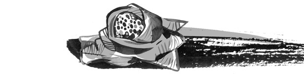 Иллюстрация к книге — Пираты Ледового моря [i_035.jpg]