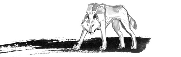 Иллюстрация к книге — Пираты Ледового моря [i_060.jpg]