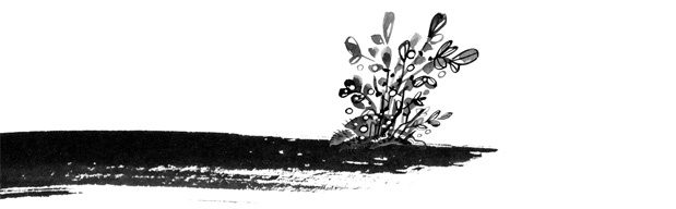 Иллюстрация к книге — Пираты Ледового моря [i_069.jpg]