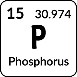 Иллюстрация к книге — Астрофизика с космической скоростью, или Великие тайны Вселенной для тех, кому некогда [_1371.jpg]