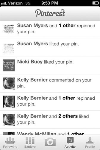 Иллюстрация к книге — Pinterest для бизнеса. Как привлечь целевой трафик из самой быстрорастущей социальной сети в мире [_22.jpg]